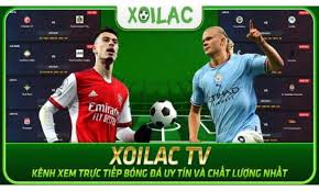 Xoilac-tv.one: Kết nối cộng đồng người hâm mộ bóng đá